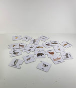 secondhand The Learning Journey Animal Families