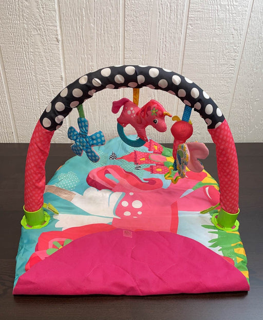 secondhand Infantino Explore and Store Play Gym