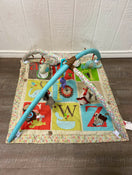 secondhand Skip Hop Activity Gym/ Playmat
