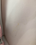 Shop Graco Soothe My Way Swing With Removable Rocker, Molly at GoodBuy Gear