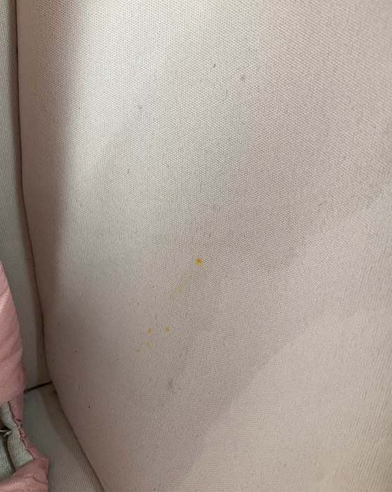 Shop Graco Soothe My Way Swing With Removable Rocker, Molly at GoodBuy Gear