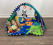 used Baby Einstein 5-in-1 Activity Gym, Journey Of Discovery