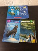 secondhand BUNDLE Children’s Chapter Books