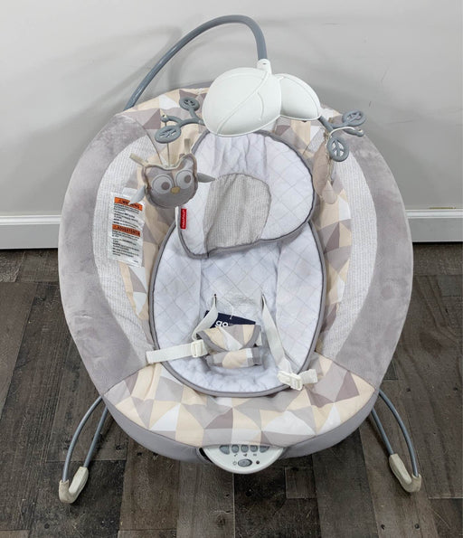 used Fisher Price Deluxe Bouncer, Owl Love You