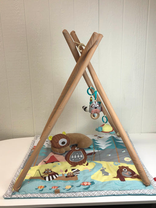 used Skip Hop Skip Hop Camping Cubs Activity Gym - Multi-Colored