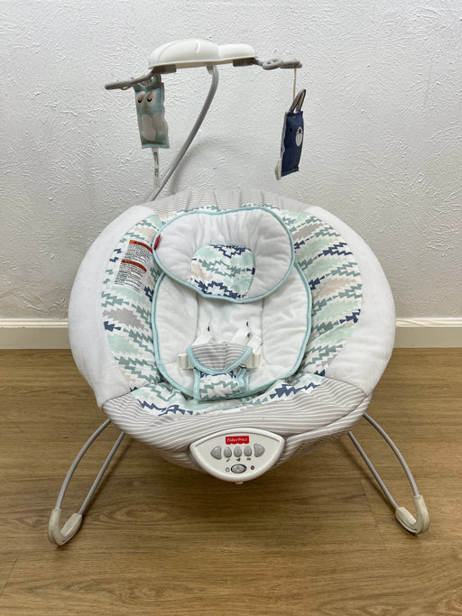 used Fisher Price Deluxe Bouncer