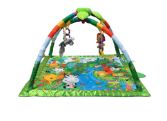 used Fisher Price Rainforest Melodies and Lights Deluxe Gym