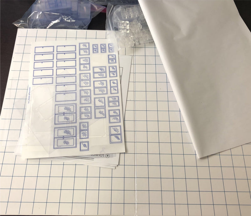 Scientific Explorer Young Architect