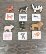 used Animal Family With Cards