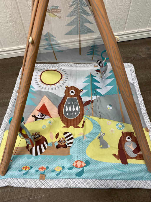 secondhand Skip Hop Camping Cubs Activity Gym