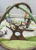 secondhand Skip Hop for Pottery Barn Playmat