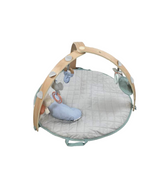 Shop Ingenuity Cozy Spot Reversible Activity Gym, Tan at GoodBuy Gear