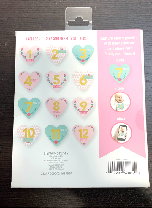 secondhand Stepping Stones Baby’s First Year Belly Stickers