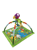 Shop Fisher Price Rainforest 1-2-3 Musical Gym at GoodBuy Gear