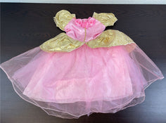 used Princess Costume