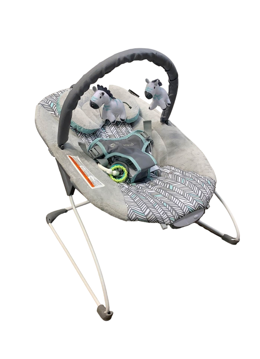 used Baby Trend EZ Bouncer