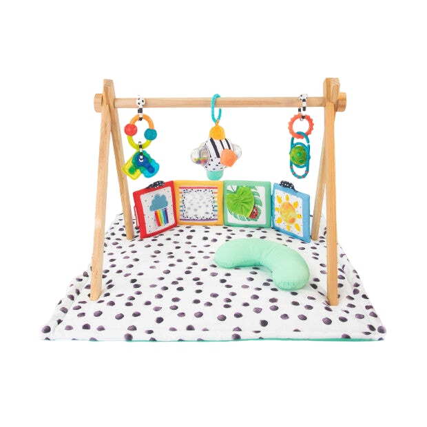 Sassy Sensory Stages Developmental Play Gym