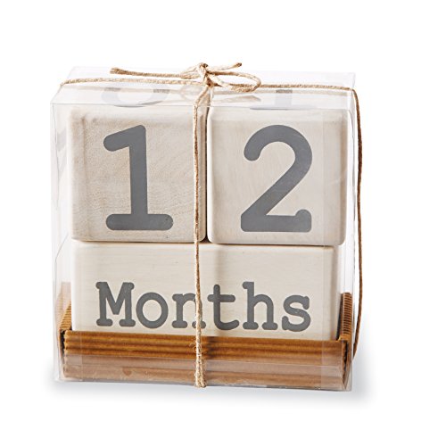 used Mud Pie Milestone Announcement Blocks
