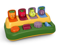 used Fisher Price Pop Up Garden