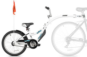 Instep tandem bike new arrivals