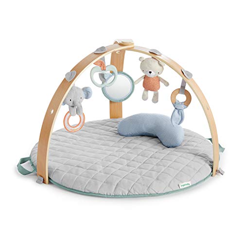 used Ingenuity Cozy Spot Reversible Activity Gym, grey