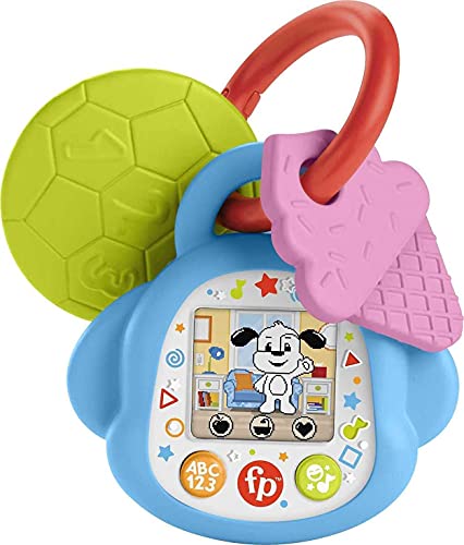 used Fisher Price Laugh & Learn DigiPuppy