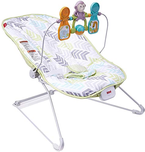 used Fisher Price Baby Bouncer