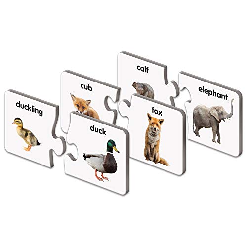 used The Learning Journey Animal Families