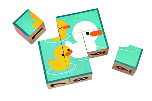 Plan Toys Puzzle Cubes