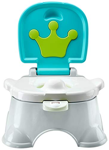 used Fisher Price Royal Potty