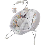 used Fisher Price Comfort Curve Bouncer