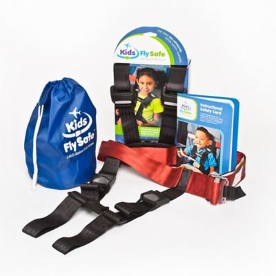 AmSafe CARES Aviation Restraint System