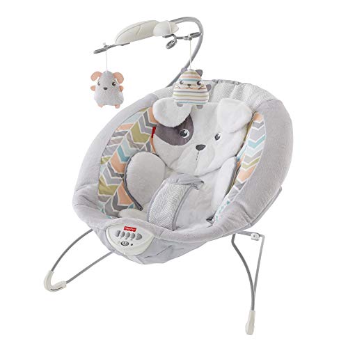 used Fisher Price Deluxe Bouncer