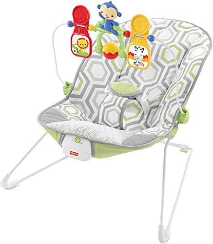 used Fisher Price Baby Bouncer