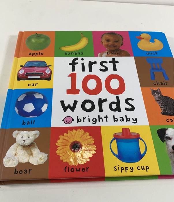 used Roger Priddy First 100 Words Book