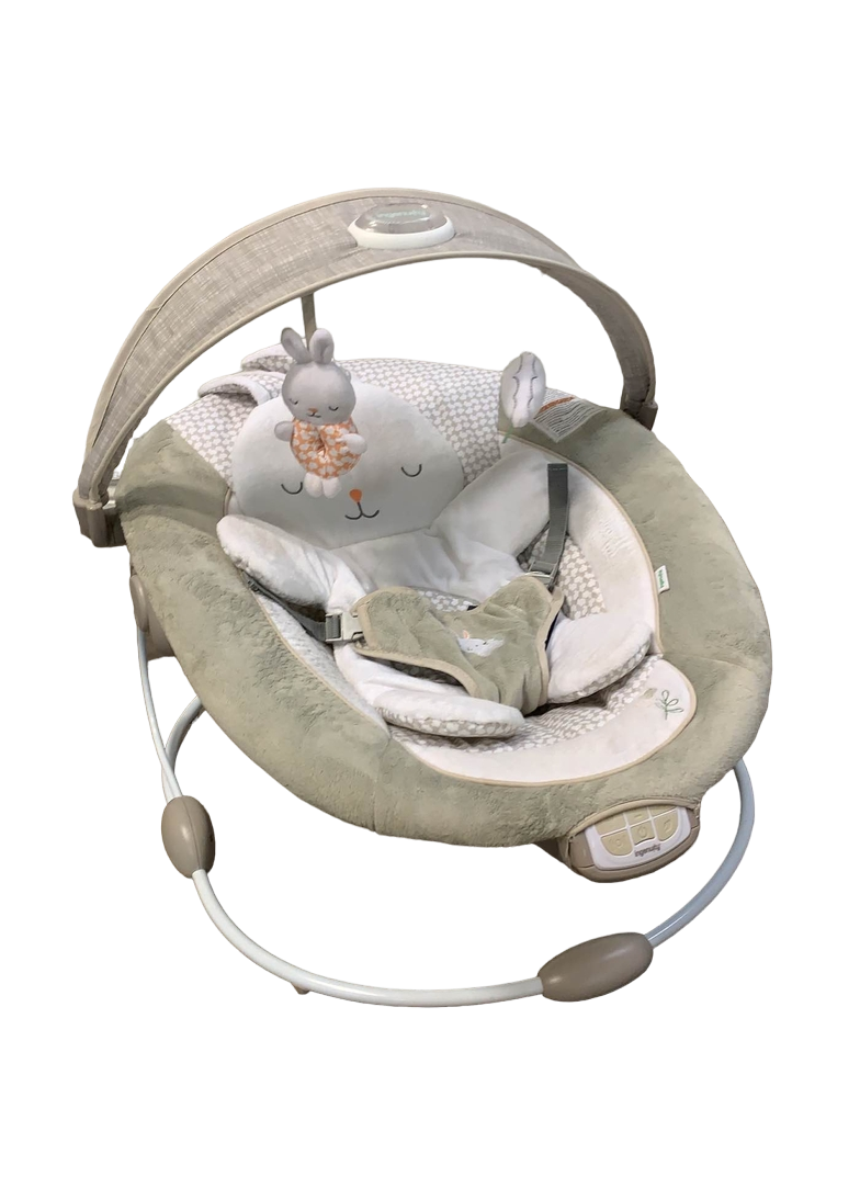 Ingenuity Inlighten Bouncer Twinkle Tails