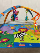 secondhand Tiny Love Gymini Super Deluxe Activity Playmat