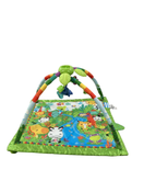 used Fisher Price Rainforest 1-2-3 Musical Gym