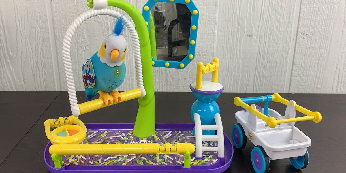 Little Live Pets Cleverkeet