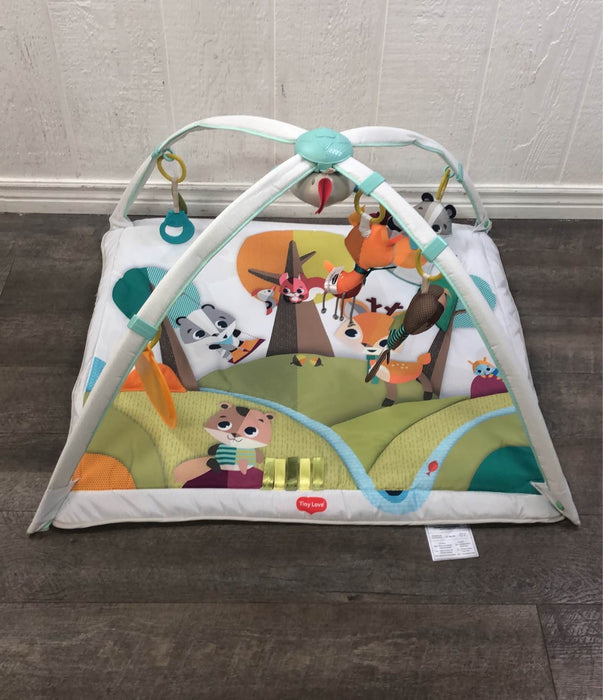 used Tiny Love Gymini Deluxe Activity Gym