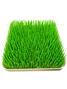 Shop Boon Grass Countertop Drying Rack with Accessories at GoodBuy Gear