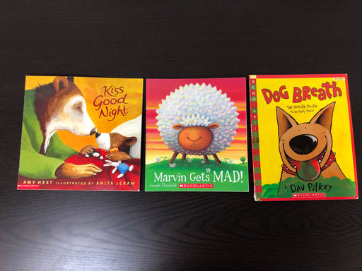 used BUNDLE Scholastic Books