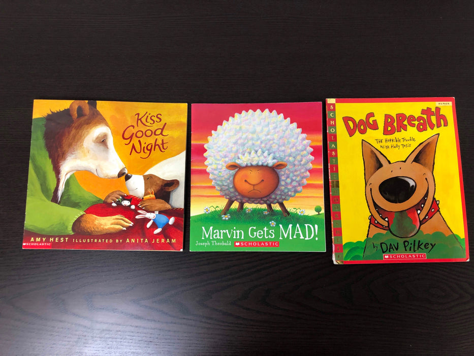 used BUNDLE Scholastic Books