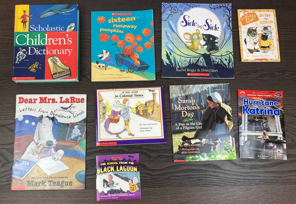 used BUNDLE Scholastic Books