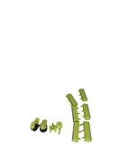 used Chicco Walky Talky Baby Walker