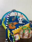 used Baby Einstein 5 In 1 World Of Discovery Activity Gym