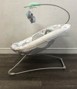 used Fisher Price Deluxe Bouncer