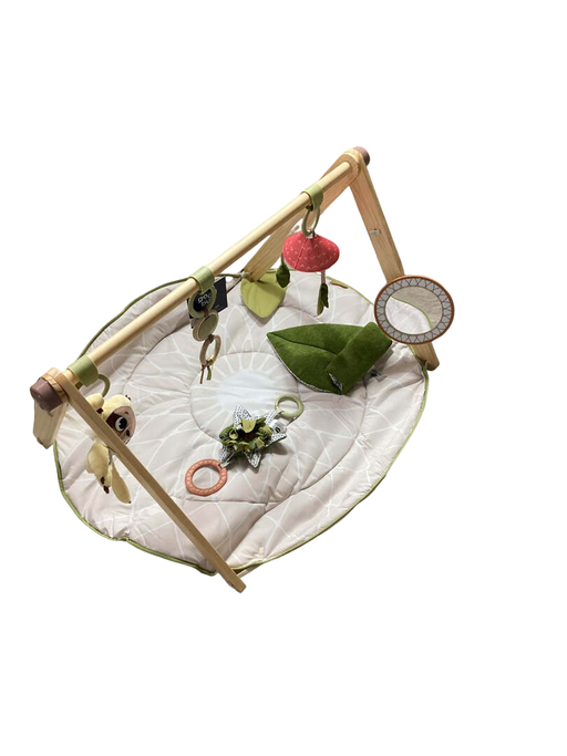 Shop Tiny Love Boho Chic Luxe Developmental Gymini at GoodBuy Gear