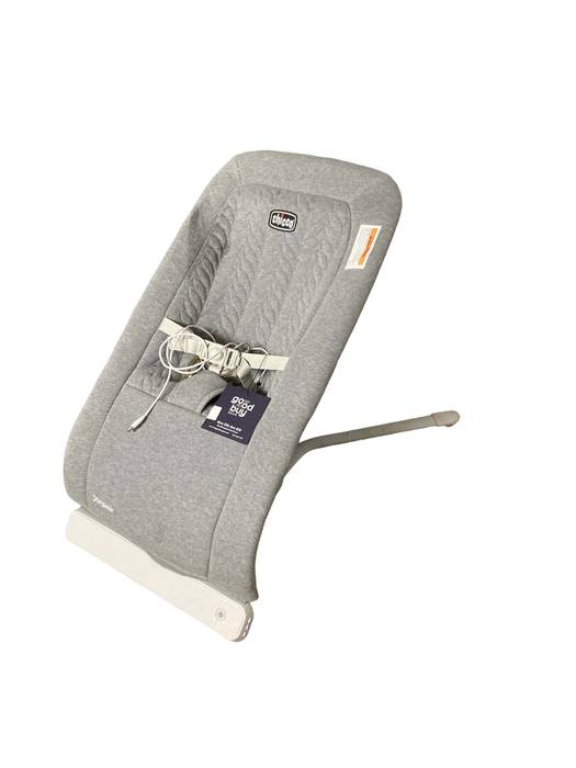 used Chicco E-Motion Auto-Glider & Bouncer Seat Cover