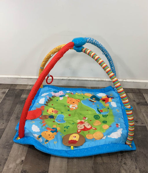 used VTech Lil’ Critters Musical Glow Gym